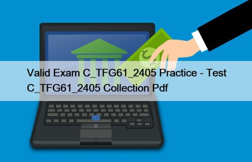 Valid Exam C_TFG61_2405 Practice - Test C_TFG61_2405 Collection ...